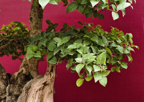 image_1767704215_1