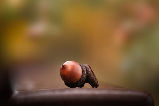 Beyond the Bruise: Decoding Negligence with a Slip & Fall Attorney