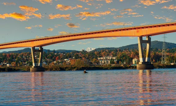 Beyond the “Ouch”: Why a Columbia Slip and Fall Attorney is Your Best Ally