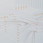 The Network’s Unseen Guardians: Why AI for Anomaly Detection is No Longer Optional