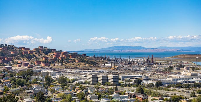 Beyond the Black Gold Rush: Your Realistic Path Into the Oil Industry