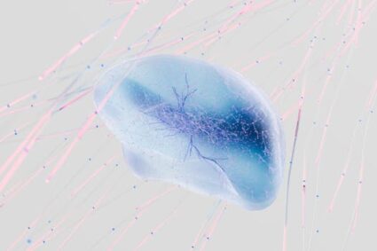 Navigating the Labyrinth of Text: The Evolving Art of the Quote Finder AI