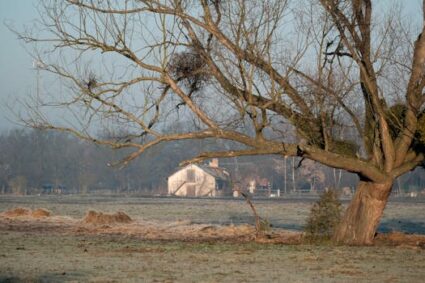 Beyond the Textbook: Navigating the Expansive Landscape of Scientific Disciplines