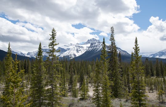 Beyond the Ivory Tower: Practical Applications of Northwestern Marketing Concepts